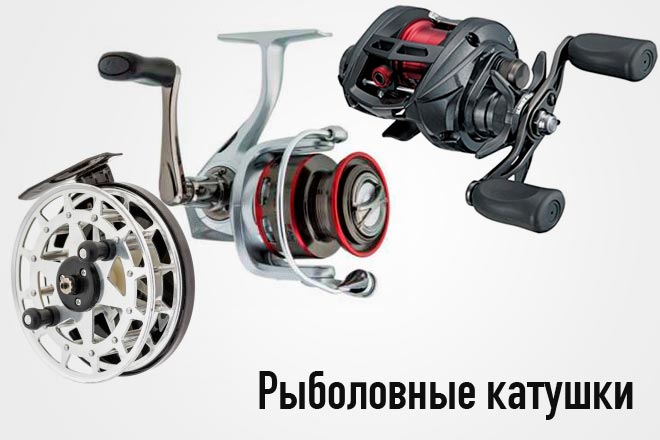 Выбор и виды рыболовных катушек